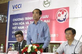 Mời gọi đầu tư sân bay An Giang 3.400 tỉ