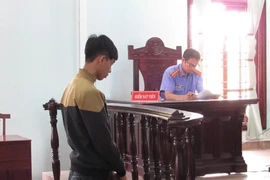 Thanh niên bật khóc, quỳ sụp xin tòa giảm hình phạt
