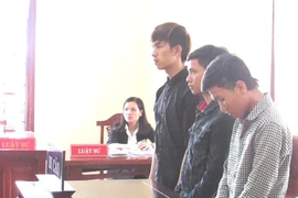 3 thanh niên lãnh án vì ham nhậu, lười lao động