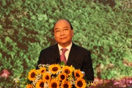 'Không được bê tông hóa Phú Quốc vì tầm nhìn ngắn hạn'