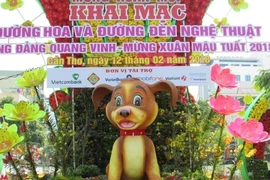 Đường hoa nghệ thuật ở Cần Thơ Tết 2018 