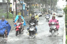 Chủ tịch Cần Thơ: Phải đảm bảo ATGT khi triều cường dâng cao