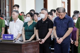 Băng nhóm dàn cảnh mua đất, đánh tráo sổ đỏ ở miền Tây hầu tòa