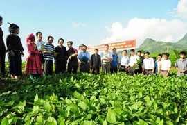 Chính sách khuyến khích đầu tư vào nông nghiệp, nông thôn
