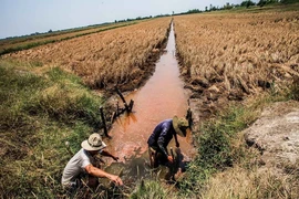 Nhiều giải pháp hỗ trợ miền Tây thiệt hại do hạn hán