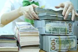 Hạn chế vay ngắn hạn nước ngoài của các 'ông lớn'