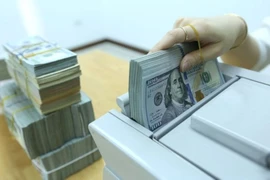 Giá đôla Mỹ 'chợ đen' rơi chóng mặt, bay khoảng 500 đồng