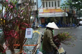 Vì sao ATM ngày càng ế ẩm?