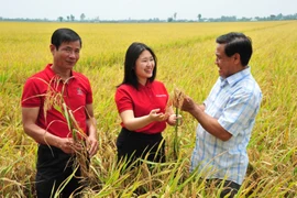 Từ khoản vay tỉ đô đến cánh đồng sạch, xanh 