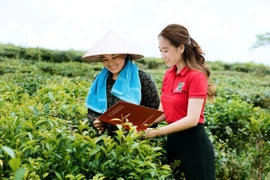 Hơn 750.000 tỉ đồng đổ vào tín dụng xanh: Ngân hàng đồng loạt chuyển mình