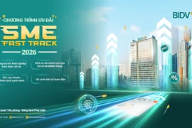 Đón năm 'Mã' cùng ưu đãi siêu đã từ BIDV SME Fast Track 2026