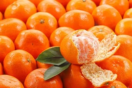 Tác dụng của vỏ quýt có thể bạn chưa biết