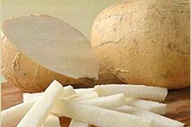 Củ đậu - thần dược rẻ tiền cho sức khỏe