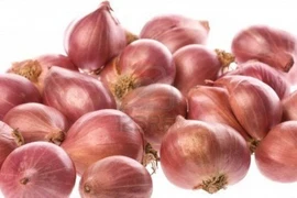Củ hành - thần dược đa năng