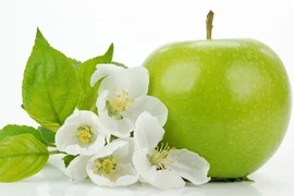 4 tinh dầu giúp trị nám, tàn nhang hiệu quả