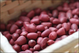Nên ăn thực phẩm họ đậu như thế nào?