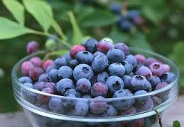 Những thực phẩm chống lão hóa tốt nhất