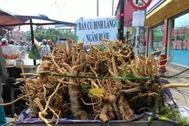 Rượu ngâm rễ cây: Bổ đâu chưa thấy, coi chừng bổ ngửa