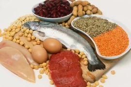 Những điều cần biết về protein