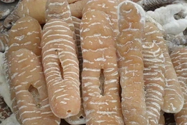 Tác dụng trị bệnh của hải sâm