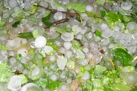 Lốc và mưa đá xuất hiện ở miền núi Nghệ An 
