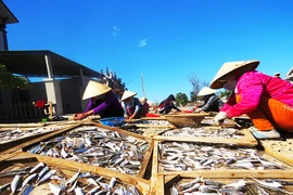 Mùa cá hấp