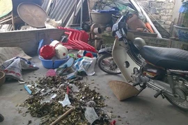 Những vụ hành hung khó hiểu liên quan đến nhóm côn đồ ở huyện Kinh Môn