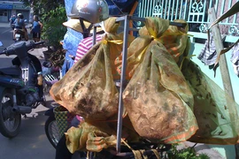  ‘Sát thủ’ ong vò vẽ xuống phố