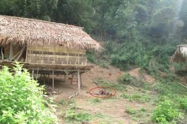 Thực nghiệm hiện trường vụ thảm sát ở Nghệ An