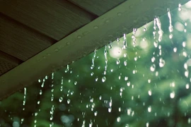 Sử dụng nước mưa thế nào cho đúng?
