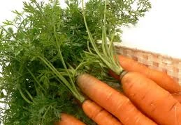 Có thật ăn nhiều cà rốt giúp sáng mắt?