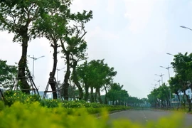 Khu đô thị sinh thái Hòa Xuân: Giá mềm, tiện nghi