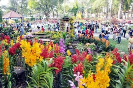 TP.HCM khai mạc Hội hoa xuân sớm hơn mọi năm