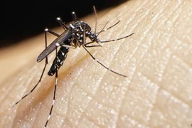 Bộ Y tế họp khẩn ứng phó với virus gây teo não ở trẻ em