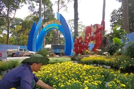 Hội Hoa Xuân 2016 trước ngày mở cửa