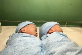 Người thứ hai mang thai hộ sinh đôi tại BV Từ Dũ