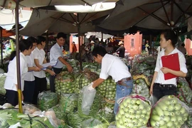 Phạt ba vựa rau ‘dính’ thuốc trừ sâu vượt mức cho phép