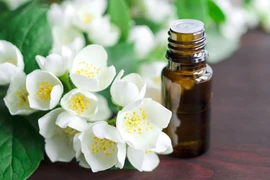 4 loại tinh dầu giúp chữa chứng mất ngủ