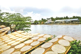 Tây Ninh lần đầu tiên tổ chức festival bánh tráng 