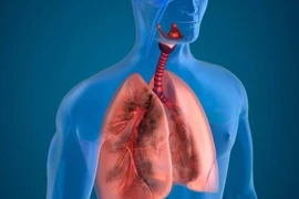 10 cách giúp thanh lọc phổi tự nhiên hiệu quả