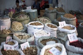 Phát hiện thuốc Bắc có liên quan đến ung thư gan