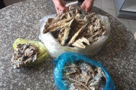 Xôn xao clip cá nục trong bữa ăn của HS có giun