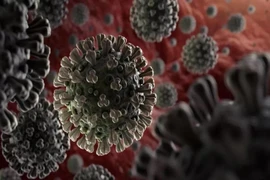 Biến chủng virus B.1.617.2 của Ấn Độ nguy hiểm thế nào?