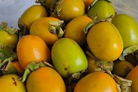 Hình minh họa