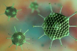 Những người có nguy cơ trở nặng khi nhiễm virus Adeno