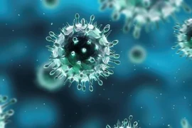 TP.HCM có chỉ đạo khẩn ngăn chặn cúm H5N1