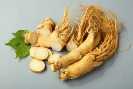 Hình minh họa