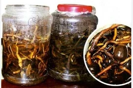 Hình minh họa