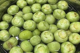 Ăn cà pháo, cà tím làm nặng thêm bệnh xương khớp?