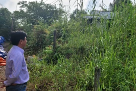 Oái oăm: Mua đất soi kỹ từng chi tiết vẫn bị 'sụp hầm' 